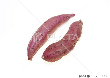 秋の味覚・サツマイモ 9798739