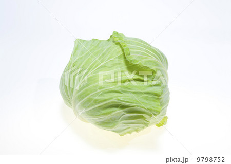 キャベツ 9798752