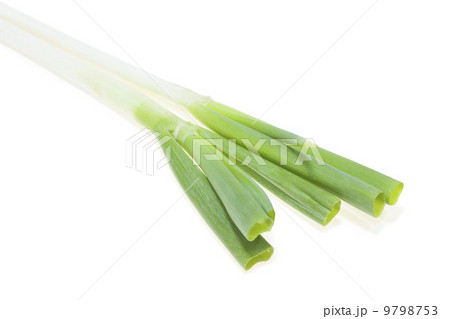 冬野菜・ネギ 9798753