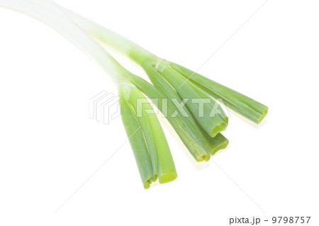 冬野菜・ネギ 冬野菜・ネギ 9798757