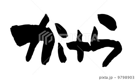 かけら かけら 9798903