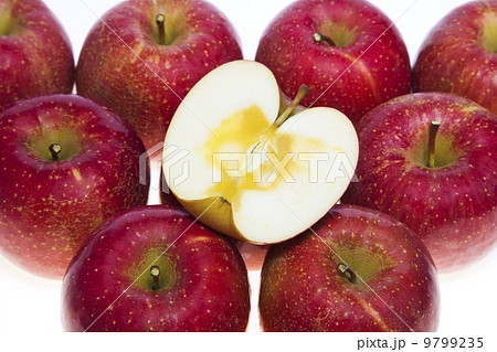 りんご・サンふじ 9799235