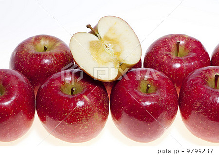 りんご・サンふじ 9799237