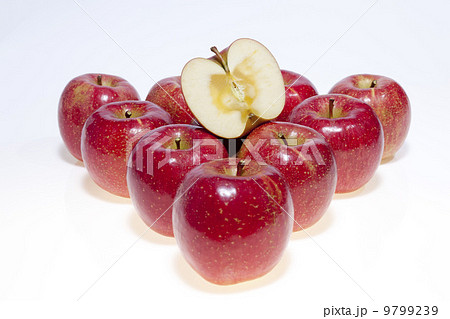 りんご・サンふじ 9799239