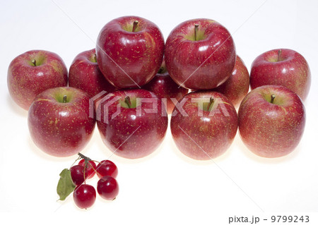 りんご・サンふじ 9799243