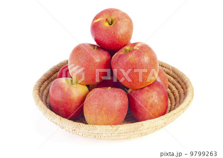 りんご・さんさ 9799263