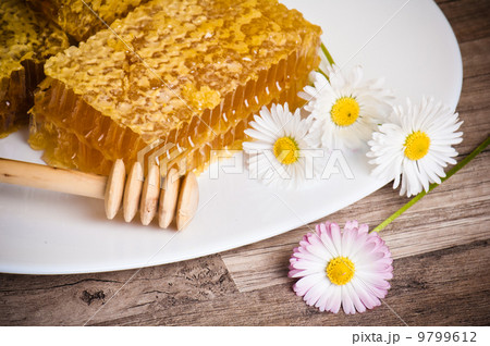 honeycomb with daisies on white plate honeycomb with daisies on white plate 9799612