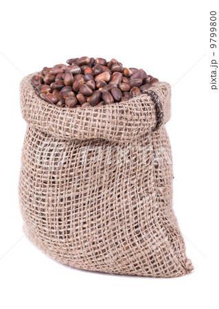 Pine Nuts 9799800