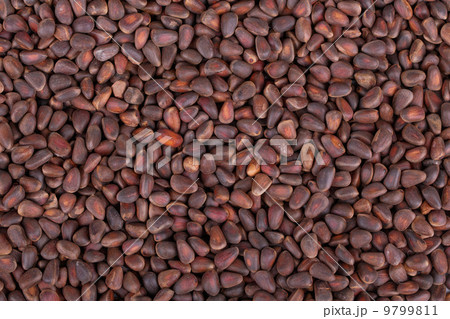 Pine Nuts Pine Nuts 9799811
