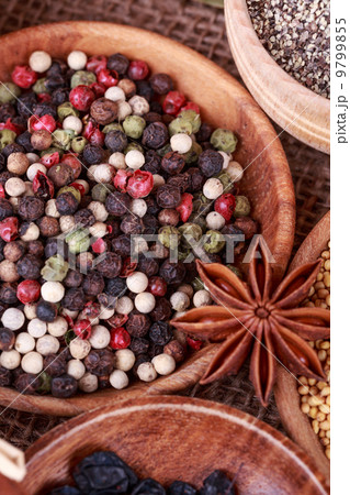 Various spices 9799855