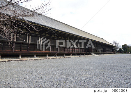 三十三間堂(蓮華王院)の「本堂」(京都市東山区三十三間堂廻町) 三十三間堂(蓮華王院)の「本堂」(京都市東山区三十三間堂廻町) 9802003