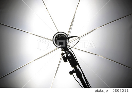 Photography set up with umbrella reflecting modeling lamp Photography set up with umbrella reflecting modeling lamp 9802011