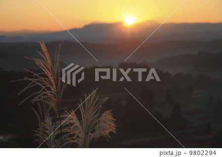 松之山の朝日 9802294