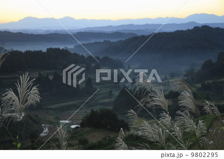 松之山の朝日 松之山の朝日 9802295