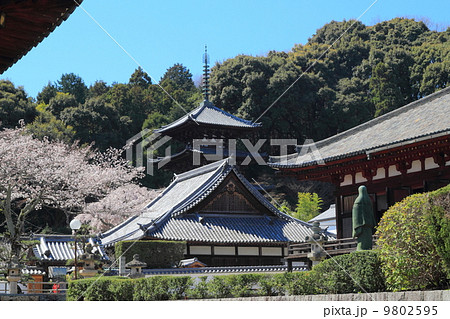 當麻寺　西塔と中将姫像 9802595