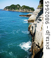 伊豆西海岸断崖 9802645