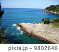 伊豆西海岸断崖 9802646