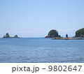 大田子海岸 9802647