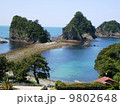 三四郎島 9802648