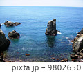 黄金崎 9802650