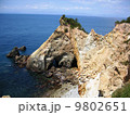 黄金崎 9802651