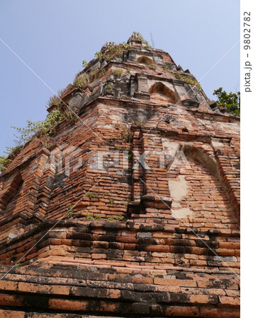 世界遺産アユタヤの歴史 世界遺産アユタヤの歴史 9802782
