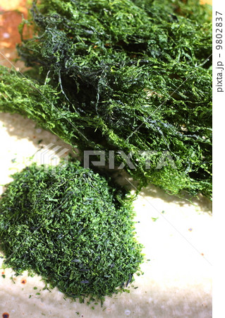 自宅で干した青ノリと青ノリ粉 9802837
