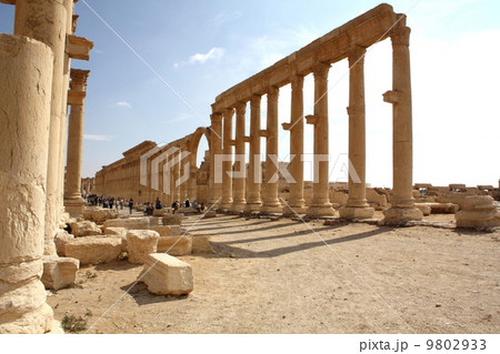 パルミラ遺跡 9802933