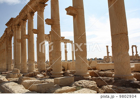 パルミラ遺跡 9802934