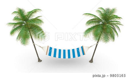 Two palm and hammock 9803163