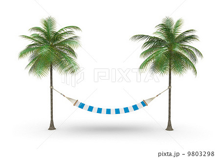 Two palm and hammock 9803298