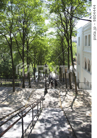 パリ モンマルトルの丘の階段 緑の木漏れ日と陰 観光名所 の写真素材