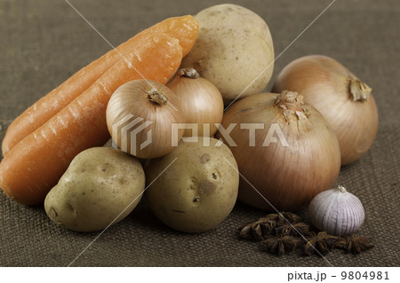 カレーセット 9804981