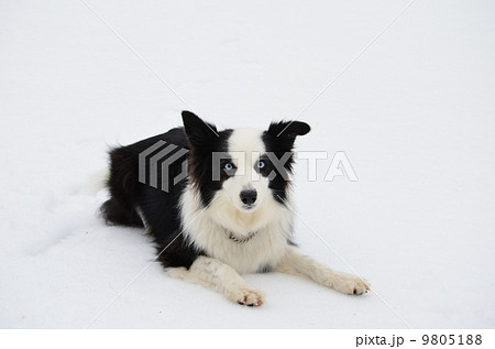 早く投げて♪ 9805188