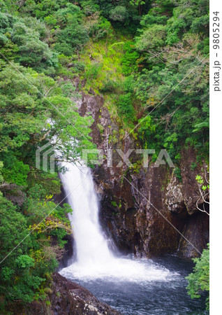 屋久島 千尋の滝 屋久島 千尋の滝 9805294