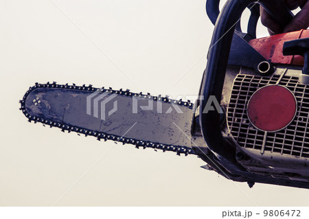 Man sawing a log in his back yard 9806472