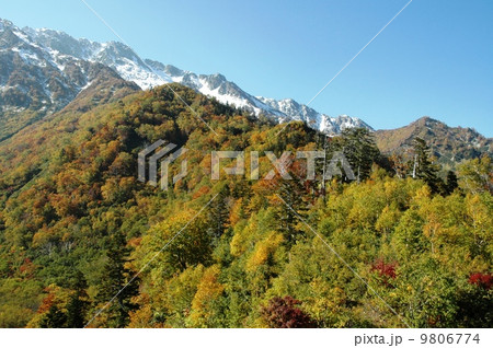 紅葉と初雪の立山 紅葉と初雪の立山 9806774