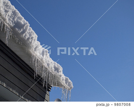 落雪頭上注意 落雪頭上注意 9807008