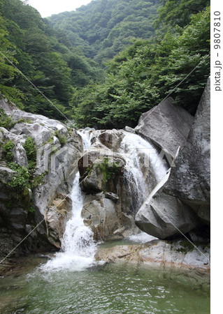 尾白川渓谷 9807810