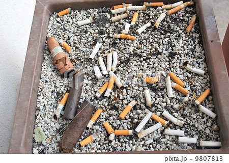 Cigarette, cigar butts. Cigarette, cigar butts. 9807813