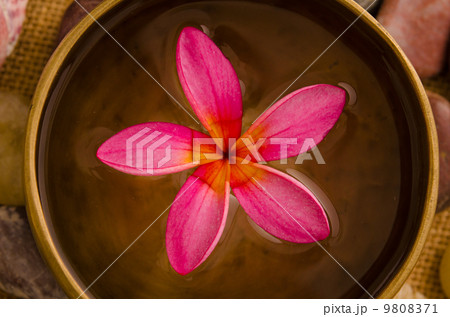 Pink frangipani with pebbles on woven bamboo mat 9808371