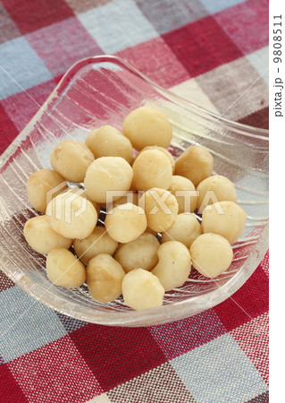 マカデミアナッツ 9808511