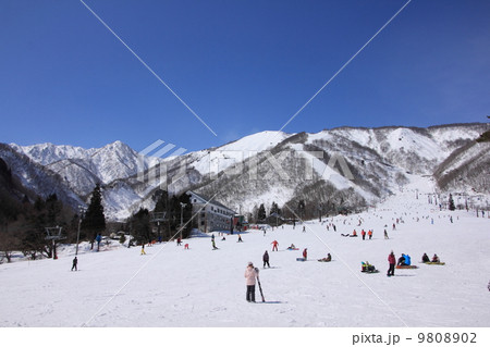 白馬五竜スキー場 白馬五竜スキー場 9808902