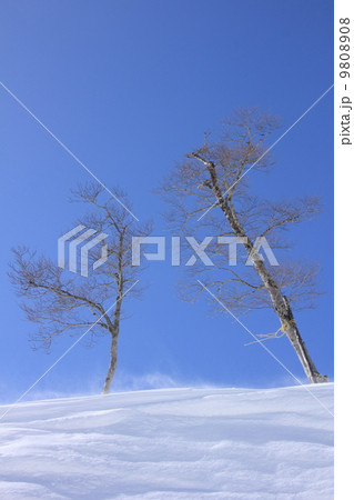 雪景色 雪景色 9808908