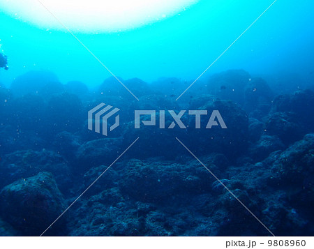 八丈島の海中の岩ゴロゴロ 9808960