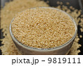 玄米 9819111