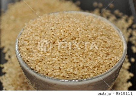玄米 9819111
