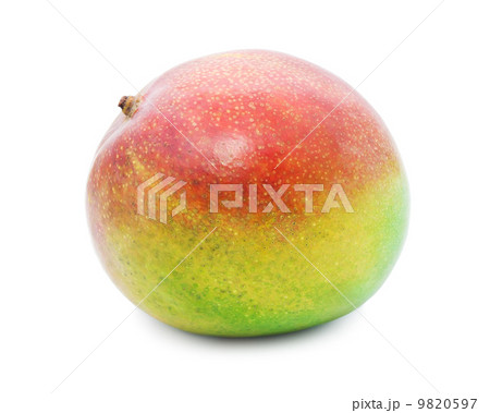 Mango Mango 9820597