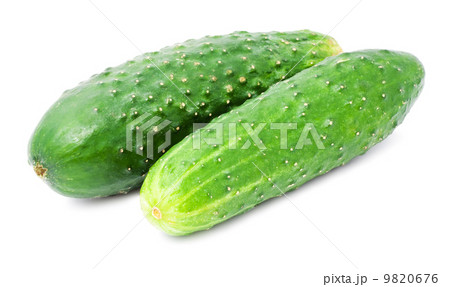 Fresh cucumber Fresh cucumber 9820676