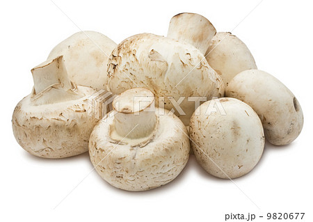 Champignon mushrooms 9820677